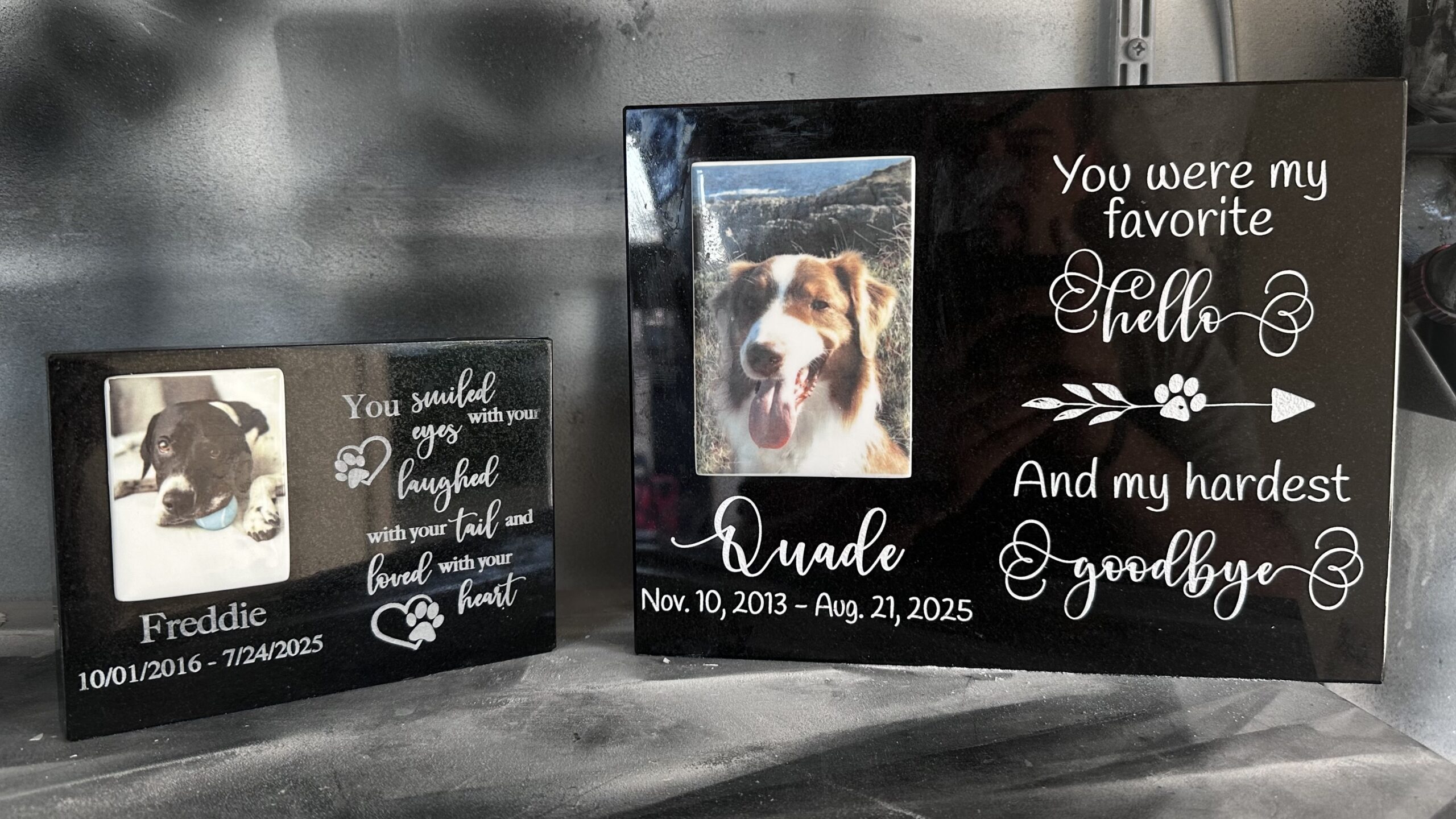 Creative Ideas to Celebrate Your Pet’s Life with Custom Memorial Keepsakes 🐕✨