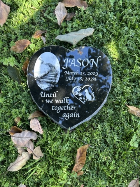 Choosing the Perfect Material for Your Pet’s Memorial Stone: Where Durability Meets Beauty