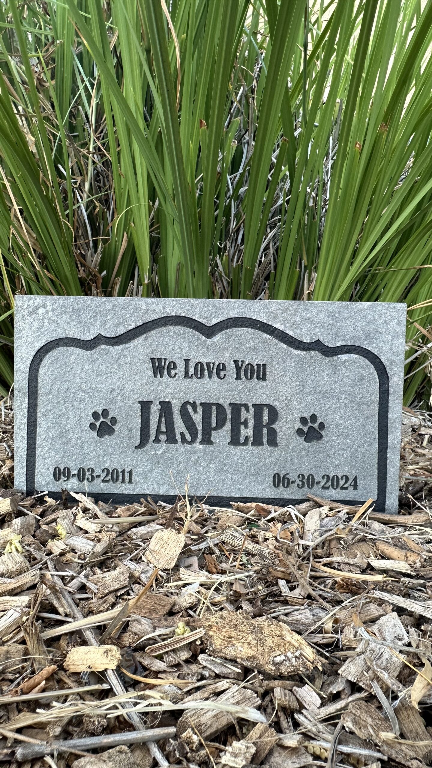 Honor First, Pay Gently: Flexible, Interest‑Free Plans for Heartfelt Pet Memorials 🐾