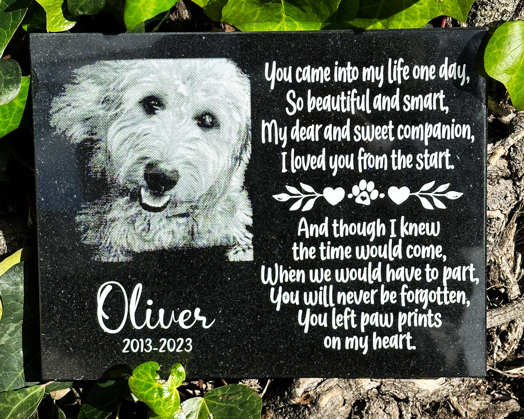 From Garden to Heart: How to Design an Outdoor Pet Memorial That Lasts—and Loves Back