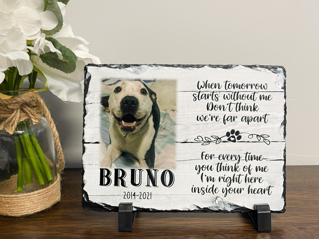 Finding Their Furever Place: Choosing Indoor vs Outdoor Pet Memorials with Love 🐾🌿